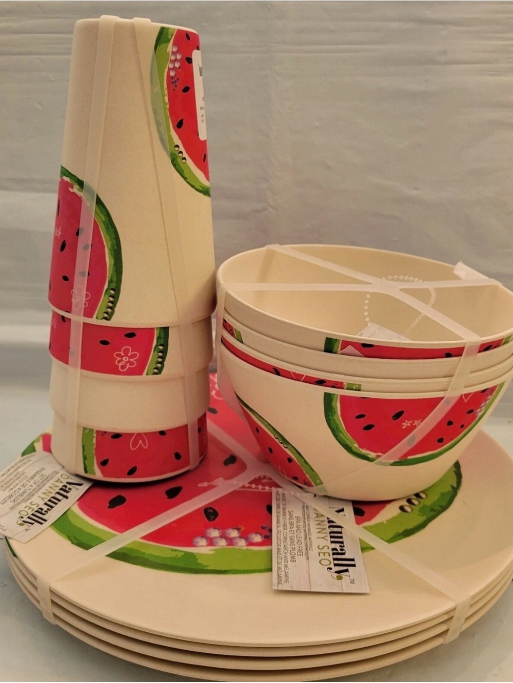 12 Pc Danny Seo Naturally Watermelon Design Plates Bowl Cup Summer Outdoor for 4